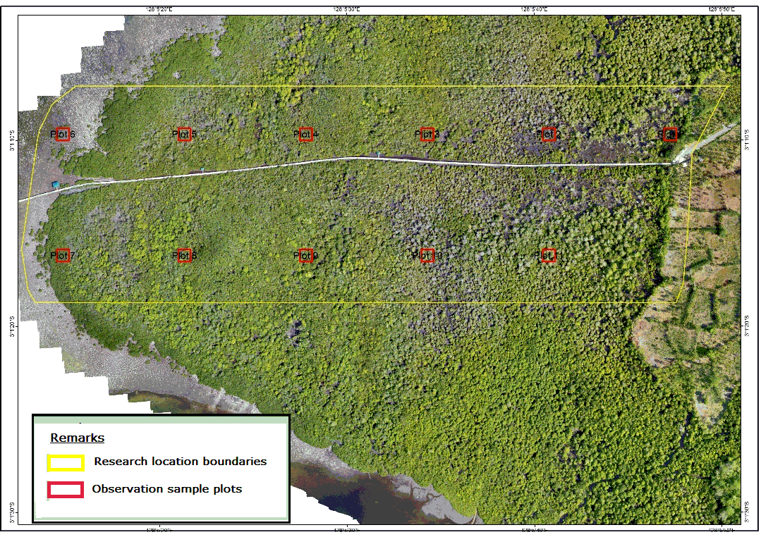Figure 2: Field sampling plots for identification of mangrove types.