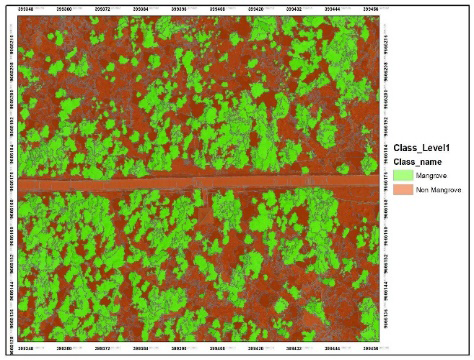 Figure 4: Results of Classification of Mangrove and Non-Mangrove.