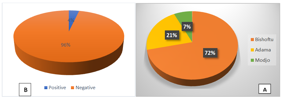 Figure 2: Pie chart illustrating the overall prevalence of ILT in the study areas (B) and distribution of the disease within the study areas (A).