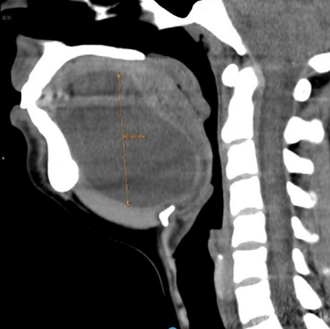 Figure 8