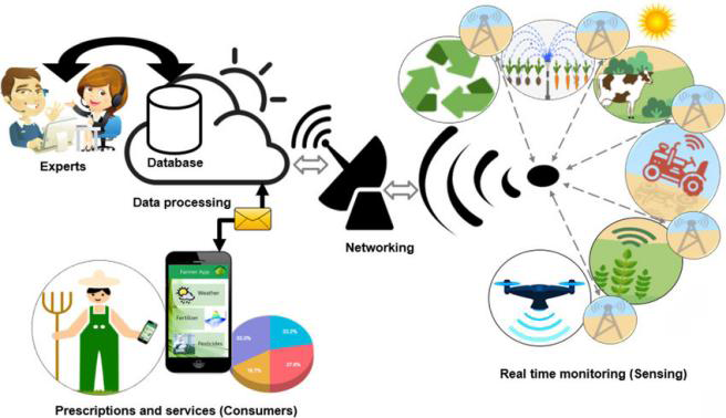 Figure 2: Agriculture with IoT.
