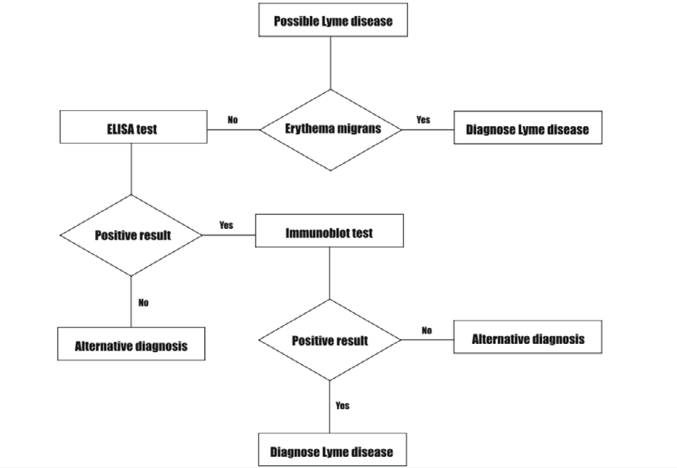 Figure 1: Lyme disease diagnosing.