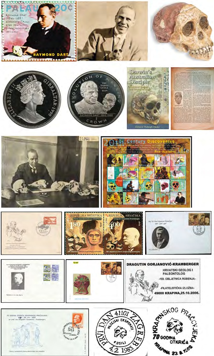 Figure 8: A collection dedicated to Dragutin Gorjanović Kramberger.