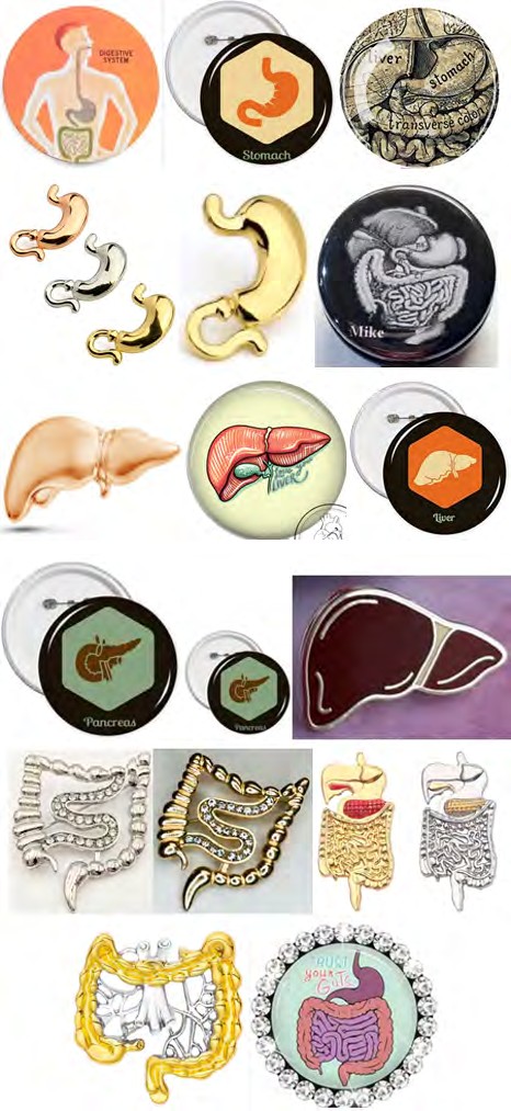 Figure 2: A selection of thematic badges, with an anatomical image of the organs of the human digestive system.