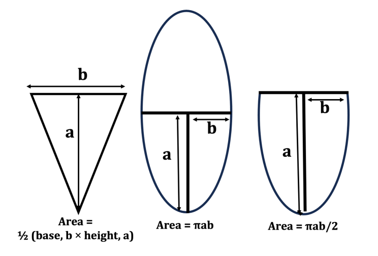 Figure 3: The formulas according to which the cross- sectional area suprascapular nerve and of the V- and U-shaped suprascapular notches were calculated.