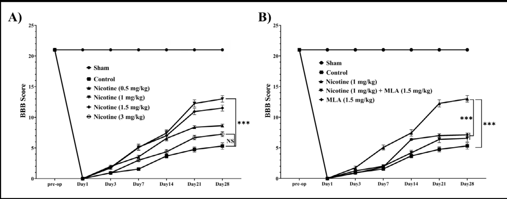 Figure 2: The figures above delineate repeated measures of Von Frey testing assessing mechanical allodynia status in animal subjects over a 28-day follow-up period (n=8). (A) The repeated measures illustrate the efficacy of each nicotine treatment group, with nicotine 1 mg/kg demonstrating an optimal effect on alleviating mechanical allodynia. (B) Further repeated measures indicate that the impact of nicotine on mechanical allodynia is contingent upon the mediation of the α7 nAChR. Data are presented as the mean ± standard error means (SEM). **: p < 0.01, *: p < 0.05.