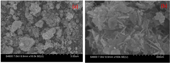 Figure 2: The pure SnO2 nanoparticles are cone shaped with an average diameter of 51nm. The nanoparticles were found to be with larger distribution of particles. Introduction of Ce dopant resulted in larger sphere shaped structures with a repetitive arrangement. The Ce doped SnO2 nanoparticles have an average diameter of size of 61 nm. Further increasing the dopant, the nanoparticles resulted in the formation of larger spheres because, with the addition of cerium ions, the crystallite size decreases there by resulting in agglomeration of particles.