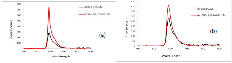 Figure 8: Spectra of rhodamine B dye in the presence of ZnO and ZnO-Ag NPs.