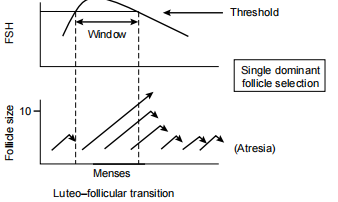 Figure 5: The ‘threshold concept’ illustrating dependence of advanced follicle growth and maturation on a rise in circulating FSH concentration above an arbitrary threshold, with subsequent suppression of FSH preventing multiple follicle development. (Reproduced with kind permission from ‘Archives of Medical Research’)[5].