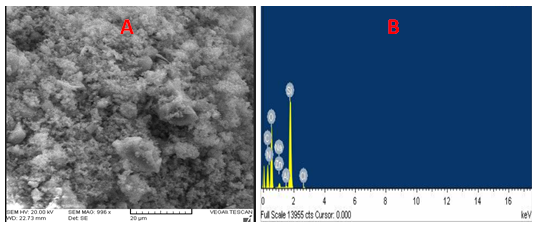 Figure 2: Represent SEM images captured at 20 µm and EDX showing the elemental compositions of SiO2@Zn2+.