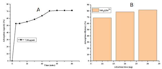 Figure 3: Effect of A) time-concentration profile and B) adsorbent dose on the removal of bacteria DNA onto SiO2@Zn2+.