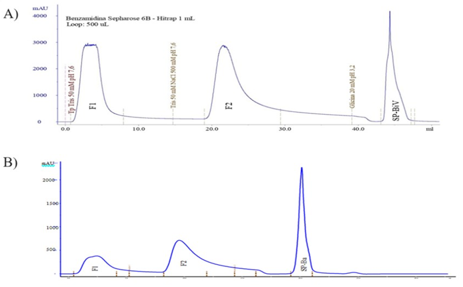 Figure 1: ** Affinity chromatography for BjV and BaV purification.