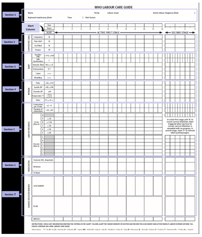 Figure 2: Labour Care Guide.