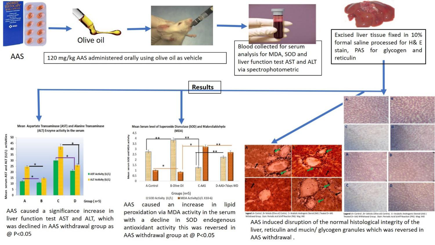 Figure 9: Graphical Abstract of this Study.