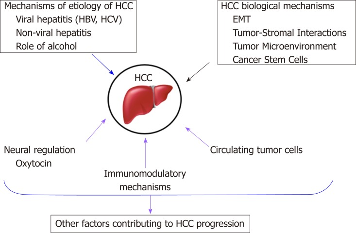 Figure 1: Factors-induced hepatocarcinogenesis [11].