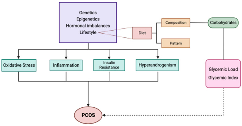 Figure 6: Courtesy ref no-80-Etiology and underlying mechanisms of PCOS.