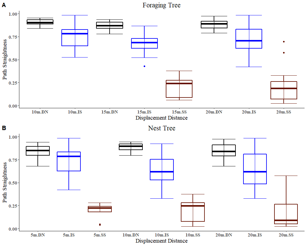 Figure 12: The path straightness of ants showing different initial navigational behaviours on tests in daylight. The x-axis shows different initial behaviours, Direct Navigation (DN), Immediate Scanning (IS), and Systematic Searching (SS), in the displacement tests. The box plots show the median (middle line in the box), the lower and upper quartiles of the box, and 1.5 times the interquartile range (whiskers).