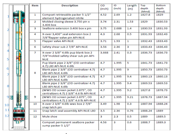 Figure 1: Proposed well schematic and equipment dimensions of lower completion description.