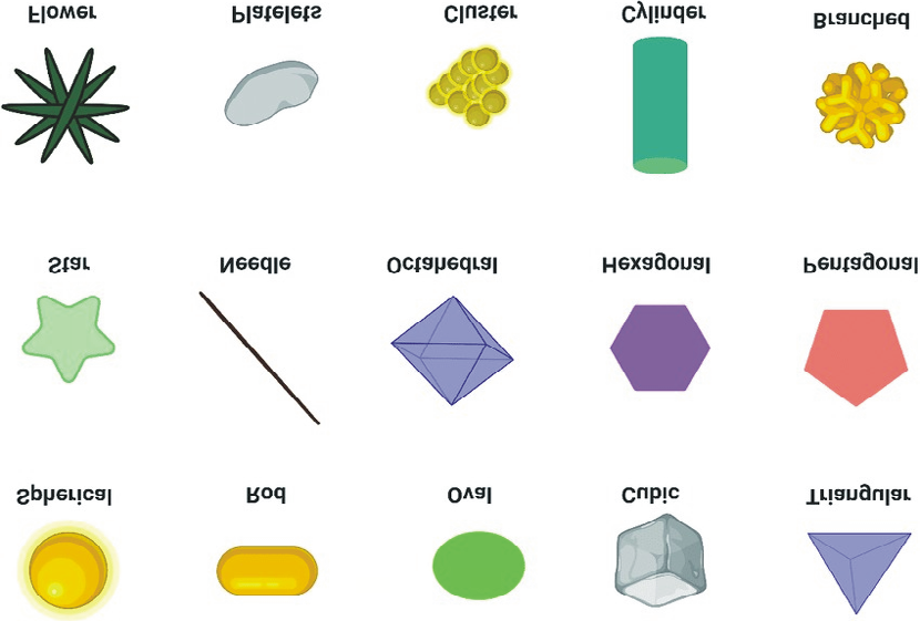 Figure 1: Shapes of Nanoparticles used in Novel Drug Delivery system.