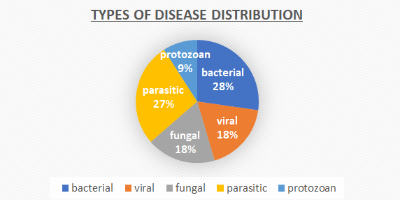 Figure 13: Dermatomycosis.