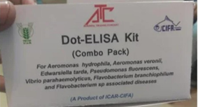 Figure 3: ELISA.