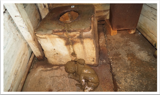 Figure 1: Infanticide in a Sanitary Pit. Death by Submersion by Asphyxiation.