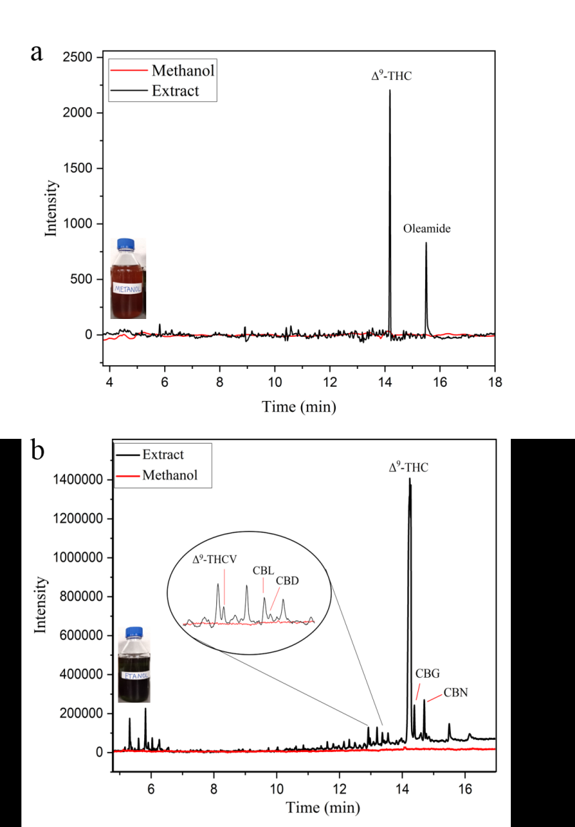 Figure 5: Chromatograms of the Extracts Obtained from the Extraction of Seized Marijuana Samples in Methanol (A) and Ethanol (B).