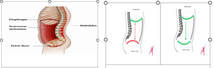 Figure 1: Hwang, et al. (2021).