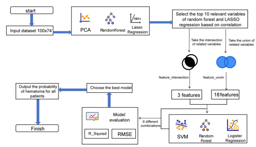 Figure 2: HemExPred model flowchart.