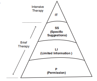Figure 1: The Plissit model. (Adapted from Annon)