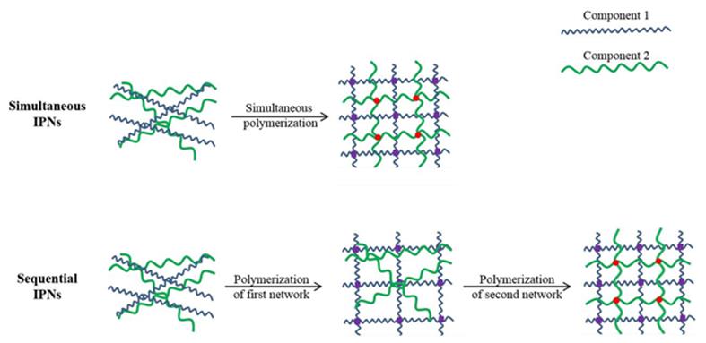 Figure 1: simultaneous IPNs and sequential IPNs. In simultaneous IPNs, the precursors of the individual components are mixed and the individual networks are crosslinked simultaneously by non- interfering routes of polymerization [23,24], such as an IPN hydrogel composed of polyacrylamide (PAAm) and Pluronic, where crosslinking of the precursor solution mixture was achieved using a redox initiator resulting in the simultaneous crosslinking of both Pluronic and PAAm [25]. In sequential IPNs, the mixture of the individual components is subject to the first crosslinking resulting in a single-network hydrogel containing a solution of the other monomers, and then the other monomers are crosslinked to form IPNs that have the second network embedded within the first network [23,26], such as a PEG-collagen IPN hydrogel, which was prepared by mixing collagen and poly(ethylene glycol) diacrylate (PEGDA) precursor solutions, and crosslinking the PEG under a UV light followed by physical crosslinking of collagen by incubation at 37°C [27].
