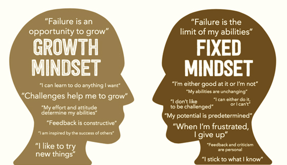 Figure 1: Contrasting perspectives: A glimpse into fixed mindset vs. growth mindset individuals, courtesy of Success Integrated [5].