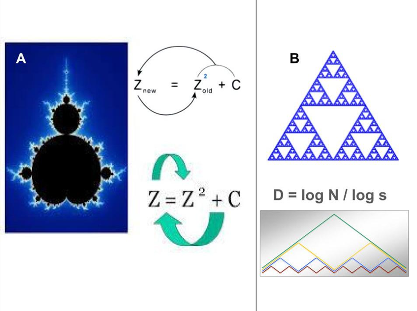 Figure 1: This figure depicts the most common visual three-dimensional fractals: Mandelbrot (A) and Hausdorff (B). On the left (A) a representation of the Mandelbrot fractal. B) shows the Sierpinski triangle, a fractal set with the overall shape of an equilateral triangle, subdivided into smaller recursively equilateral triangles. This is an example of a Hausdorff fractal.