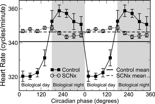 Figure 6: Graph showing the heart rate during day and night, for control and injured SCN rodents. It is noticeable how the damaged group does not have day/night variations and the level remains high as in night period (From Hu et al., 2008, with permission).