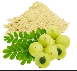 Figure 3: Amla.