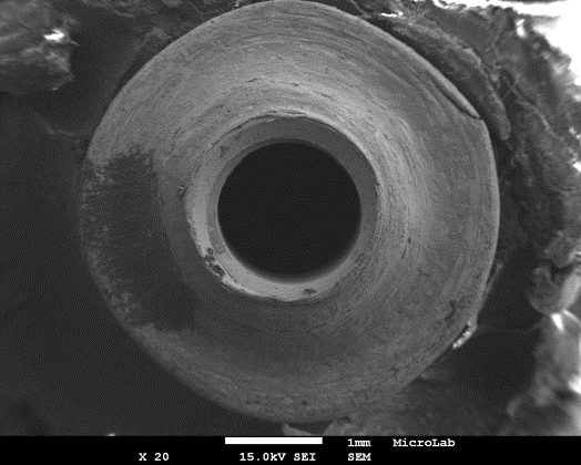 Figure 5: SEM of implant hexagon group D Zircnonia abutment.