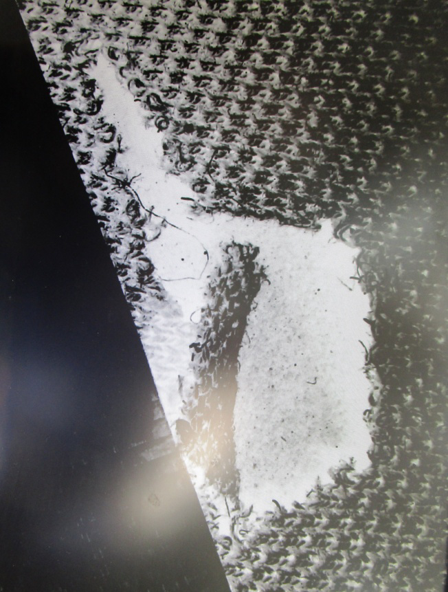 Figure 13: Test Stabbing/Cut Mark (Ex-B) (Under Microscope).