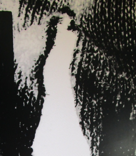 Figure 17: Test Stabbing/Cut Mark (Ex-C) (Under Microscope).