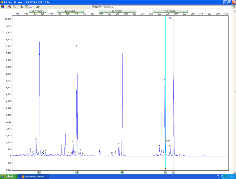 Figure 5: New Alleles as Duplicate (27, 29) at Locus DYS389II in One of the Benghazi Samples (Usually only one Allele is Called at this Location).