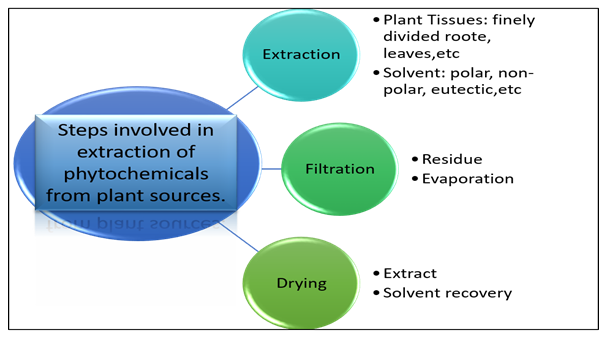 Figure 1: Systematic representation of steps involved in extraction of phytochemicals.