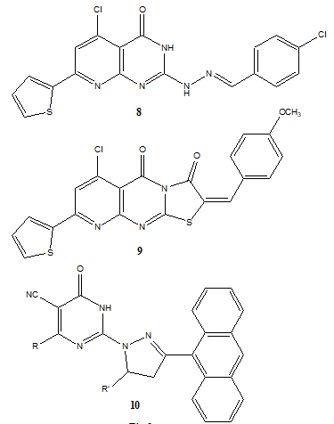 Figure 4: Synthesized the tetra-alkyldihydropyrimidopyrazine-triones (11 & 12) and showed potent anticancer activity & Compounds 13 & 14 showed significant anticancer potential against human cancer cell (CNE2, KB, MCF-7, and MGC-803) lines.