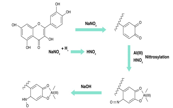 Figure 3: Formation of flavonoid complex with AlCl3 [40].