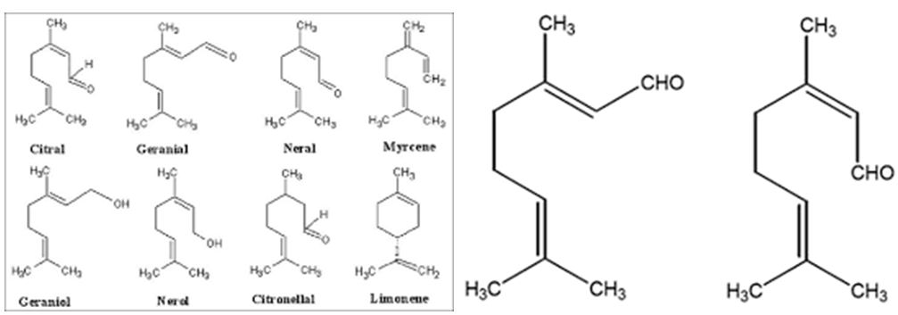 Figure 2: Chemical Constituents in Lemongrass Oil.