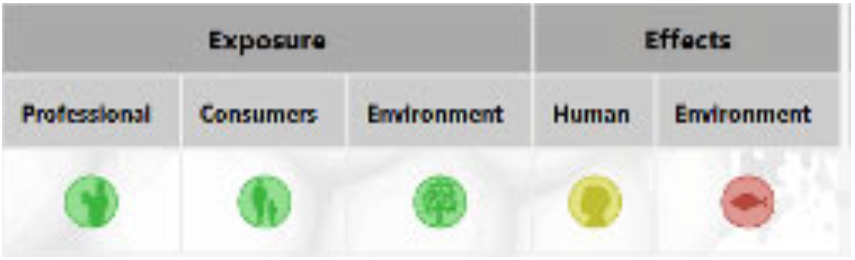 Figure 1: ** NanoRiskCat Methodology.