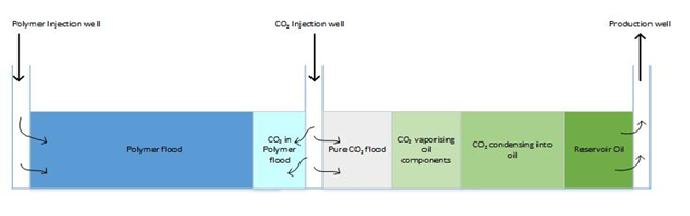 Figure 2: Schematic of the 1-1-1 well pattern showing possible transition zone between the injectors and the producer.