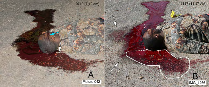 Figure 8: Bloodstains 2 and 3 and the result of covering the body with a sheet. A. Image taken at 0719 (likely ~ 0619 (6:19 AM)) showing a gap in the stain near the victim’s neck (at white arrow) which was not present in the images taken later. Blood flow from the victim’s mouth occurred when his head was facing up or to the right (at blue arrow). B. The stain gap at the arrow in A provides demarcation estimation between the blood deposited when the body was at position 2 (Figure 7) and the final position 3 of the body. Bloodstain 3 originated from the final position of the body. The white outline is the estimated extent of the stain when the body was at position 2 to where the blood flow from body position 3 added to the stain from the victim at position 2 (estimated at dashed line). Arrows point to the stains caused by blood and serum wicking by the cloth sheet placed over the body.