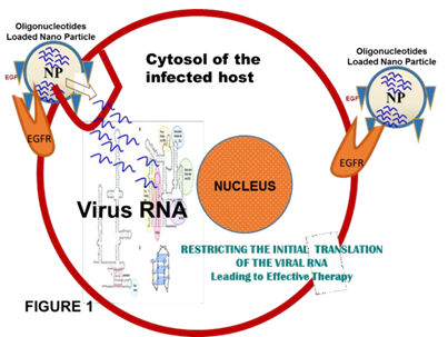 Figure 1: Source of the viral RNA pseudoknots.