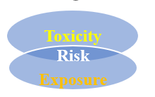 Figure 2: Risk is a combination of toxicity and exposure.
