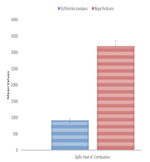 Figure 19: Burning Rate _N. fruticans_ and _E. crassipes_ briquettes.