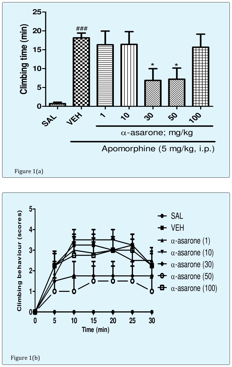 Figure 1: ** Effect of α-asarone (mg/kg, p.o.) on cage climbing time and climbing behavior induced by apomorphine in mice. Figure 1(a) Total time spent on the wall of the cage Figure 1(b) Climbing behaviour scores at different time points for 30 min Figure 1(c) The cumulative scores that measured for 30 min after administration of apomorphine. All data represents as mean ± SEM from eight animals. ### p<0.001, when compared with the saline group; * p< 0.05 when compared with the vehicle group. It has been reported that acute administration of apomorphine induced the stereotyped behaviours [11], locomotor activity, rearing/grooming [12] and cage- climbing behaviours [10, 13] in rodents. Apomorphine is a non-selective dopamine agonist which activates postsynaptic mesolimbic D2 and D1 dopamine (DA) receptors. Apomorphine-induced climbing behaviour is one of a well-known animal model of psychosis to study the postsynaptic DA receptors in the brain [14, 15]. It has been proposed that activation of both D2 and D1-dopamine (DA) receptors are required to induce climbing behaviour in rodents. Quinpirole (selective D2 agonist) and SKF38393 (selective D1 agonist) _per se_ failed to induce cage climbing behaviour, but in combination of D2 and D1 agonists induced climbing behaviour. However, either D2 antagonists or D1 antagonists _per se_ alleviated apomorphine-induced climbing behaviour [16]. Therefore, attenuation of apomorphine-induced climbing behaviour in rodents suggesting the antipsychotic-like effect of the given compounds by inhibition of D1 and/or D2 receptors. In present study, acute oral doses of α- asarone at 30 and 50 mg/kg significantly decreased the apomorphine-induced cage climbing time and climbing behaviour in mice. Therefore, it has been postulated that the observed antipsychotic-like effect of α-asarone might be attributed to blockade of dopaminergic D2 and/or D1 receptors in the brain.